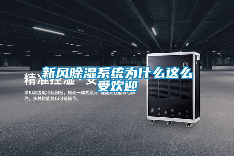 欧美成色手机在线观看 新风除湿系统为什么这么受欢迎