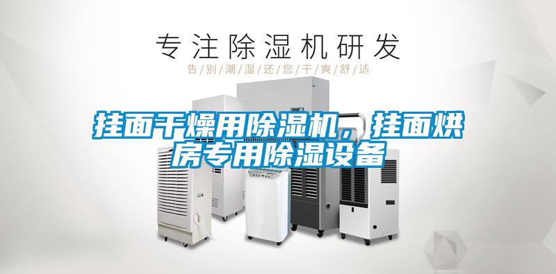 欧美黄色性爱视频网站 挂面干燥用除湿机，挂面烘房专用除湿设备
