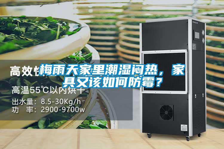 欧美黄色性爱视频网站 梅雨天家里潮湿闷热，家具又该如何防霉？