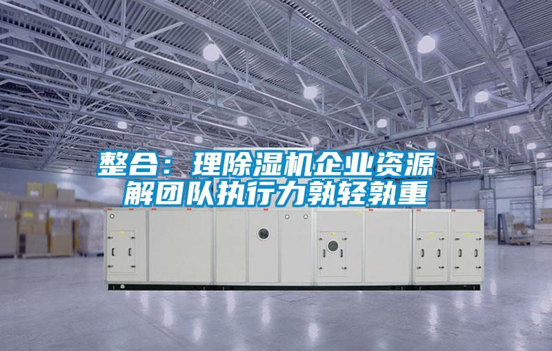 欧美黄色电影在线播放 整合：理除湿机企业资源 解团队执行力孰轻孰重