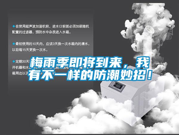 欧美黄色电影在线播放 梅雨季即将到来，我有不一样的防潮妙招！