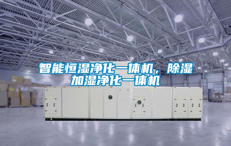欧美黄色电影在线播放 智能恒湿净化一体机，除湿加湿净化一体机