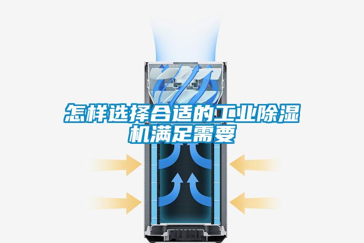 欧美成色手机在线观看 怎样选择合适的工业除湿机满足需要