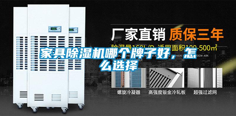 欧美黄色性爱视频网站 家具除湿机哪个牌子好，怎么选择