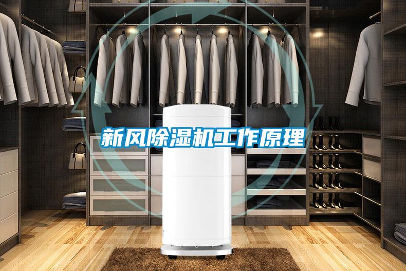 欧美成色手机在线观看 新风除湿机工作原理