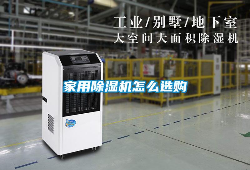 欧美黄色电影在线播放 家用除湿机怎么选购