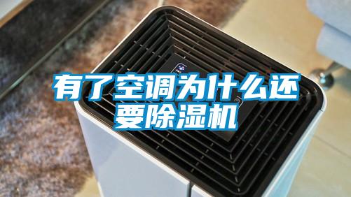欧美黄色电影在线播放 有了空调为什么还要除湿机