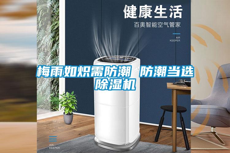 欧美黄色性爱视频网站 梅雨如炽需防潮 防潮当选除湿机