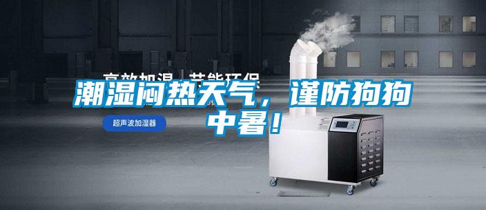 欧美黄色电影在线播放 潮湿闷热天气，谨防狗狗中暑！
