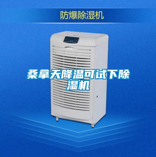 欧美黄色电影在线播放 桑拿天降温可试下除湿机