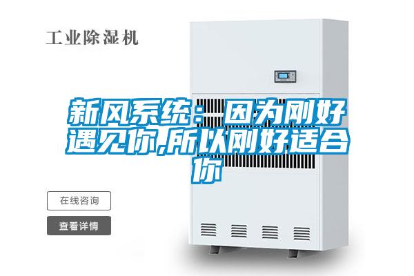 欧美黄色性爱视频网站 新风系统：因为刚好遇见你,所以刚好适合你