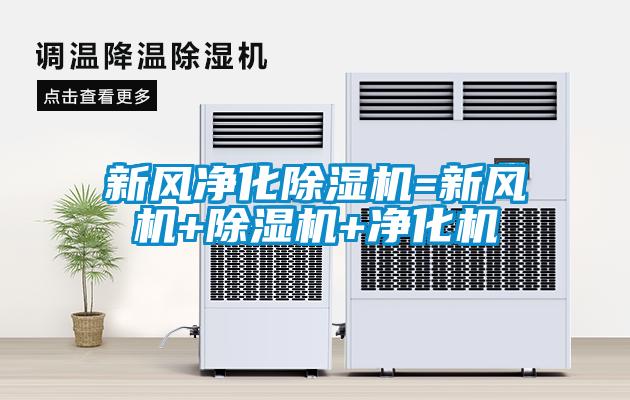 欧美黄色性爱视频网站 新风净化除湿机=新风机+除湿机+净化机