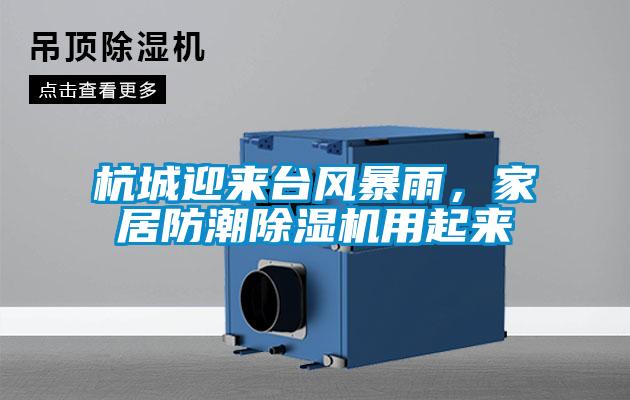 欧美黄色性爱视频网站 杭城迎来台风暴雨，家居防潮除湿机用起来