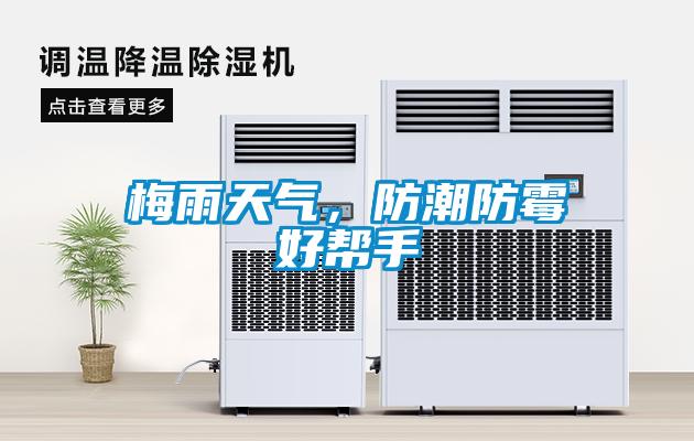 欧美黄色性爱视频网站 梅雨天气，防潮防霉好帮手