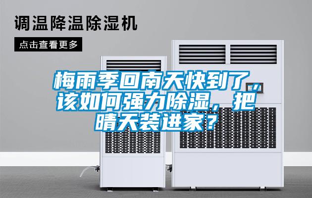欧美黄色性爱视频网站 梅雨季回南天快到了，该如何强力除湿，把晴天装进家？