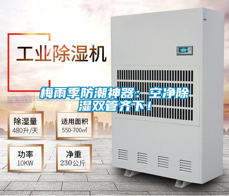 欧美黄色性爱视频网站 梅雨季防潮神器：空净除湿双管齐下！