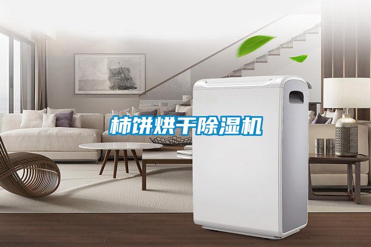 欧美黄色性爱视频网站 柿饼烘干除湿机