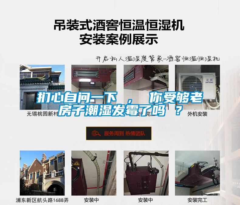 欧美黄色性爱视频网站 扪心自问一下 ， 你受够老房子潮湿发霉了吗 ？