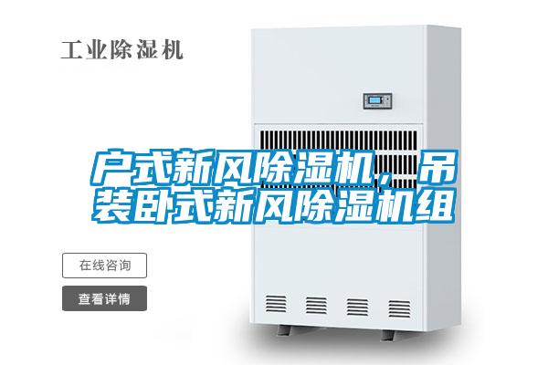 欧美黄色电影在线播放 户式新风除湿机，吊装卧式新风除湿机组