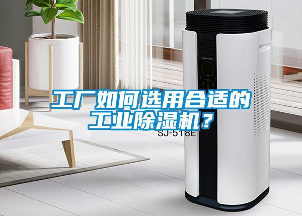 欧美黄色电影在线播放 工厂如何选用合适的工业除湿机？