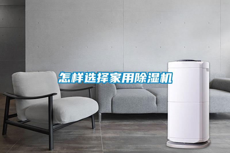 欧美黄色性爱视频网站 怎样选择家用除湿机