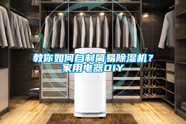欧美成色手机在线观看 教你如何自制简易除湿机？家用电器DIY