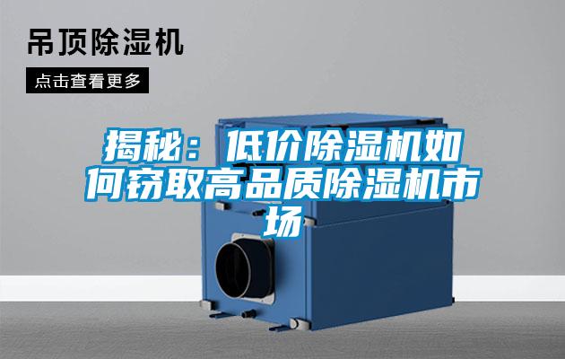 欧美黄色电影在线播放 揭秘：低价除湿机如何窃取高品质除湿机市场