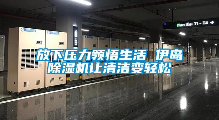 欧美黄色性爱视频网站 放下压力领悟生活 伊岛除湿机让清洁变轻松