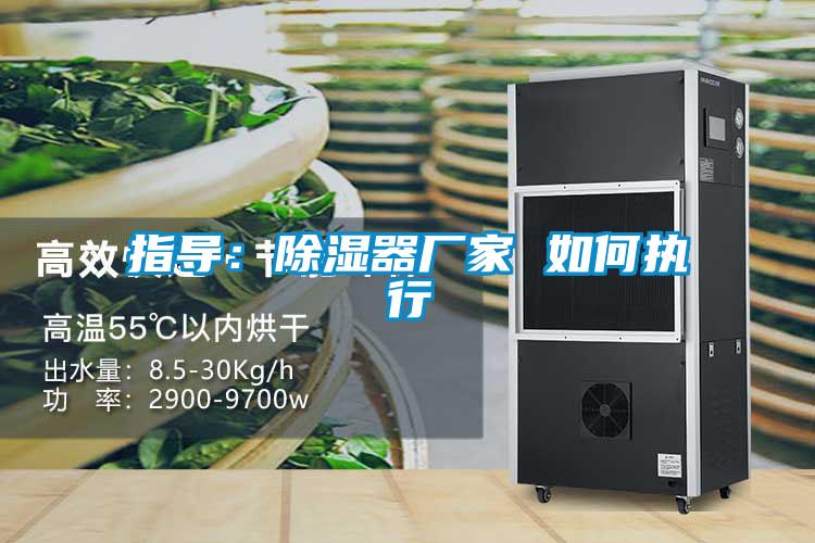 欧美黄色电影在线播放 指导：除湿器厂家 如何执行