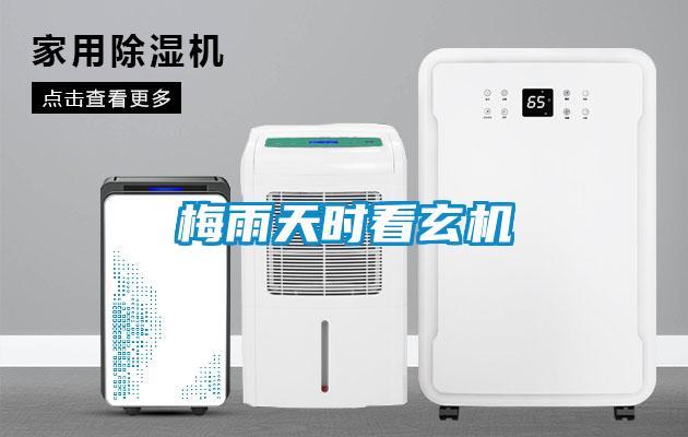 欧美黄色电影在线播放 梅雨天时看玄机