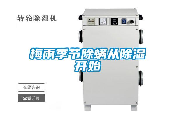 欧美黄色性爱视频网站 梅雨季节除螨从除湿开始