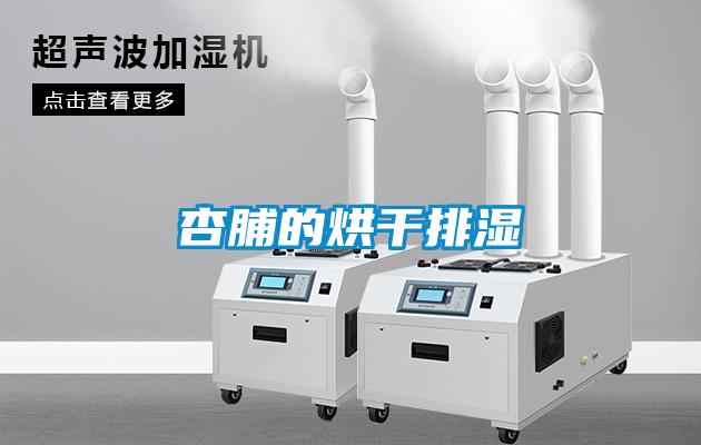 欧美黄色性爱视频网站 杏脯的烘干排湿