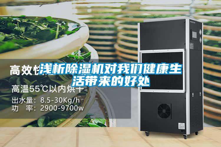 欧美黄色电影在线播放 浅析除湿机对我们健康生活带来的好处