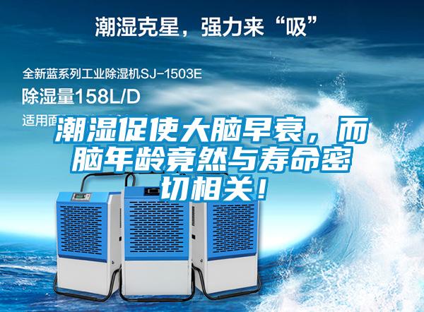 欧美黄色电影在线播放 潮湿促使大脑早衰，而脑年龄竟然与寿命密切相关！