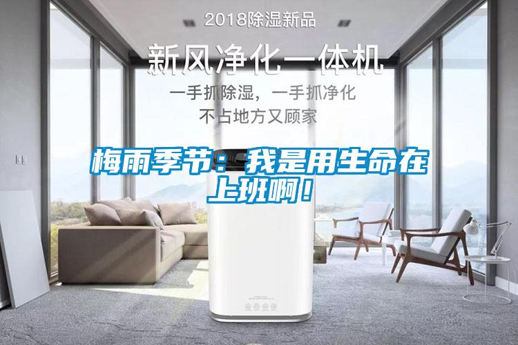 欧美成色手机在线观看 梅雨季节：我是用生命在上班啊！