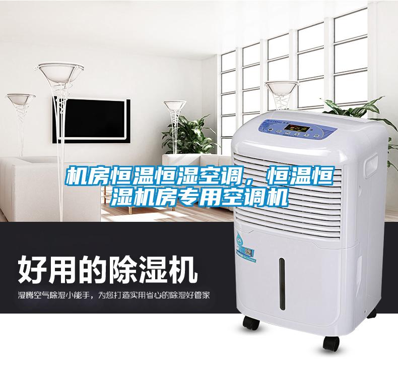 欧美黄色性爱视频网站 机房恒温恒湿空调，恒温恒湿机房专用空调机