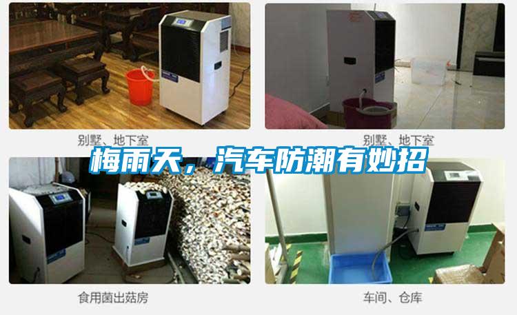 欧美黄色电影在线播放 梅雨天，汽车防潮有妙招