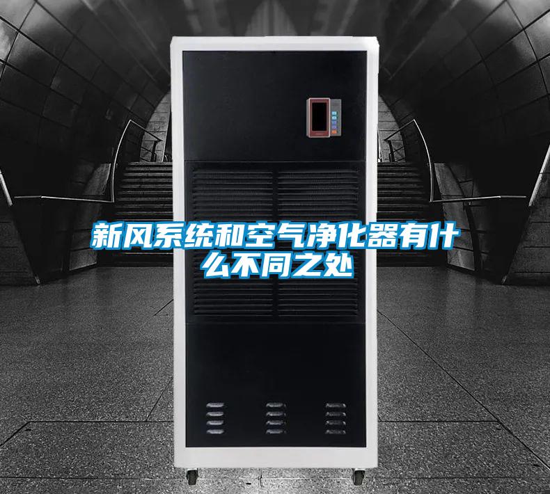 欧美黄色电影在线播放 新风系统和空气净化器有什么不同之处