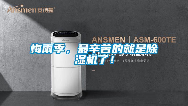 欧美成色手机在线观看 梅雨季，最辛苦的就是除湿机了！