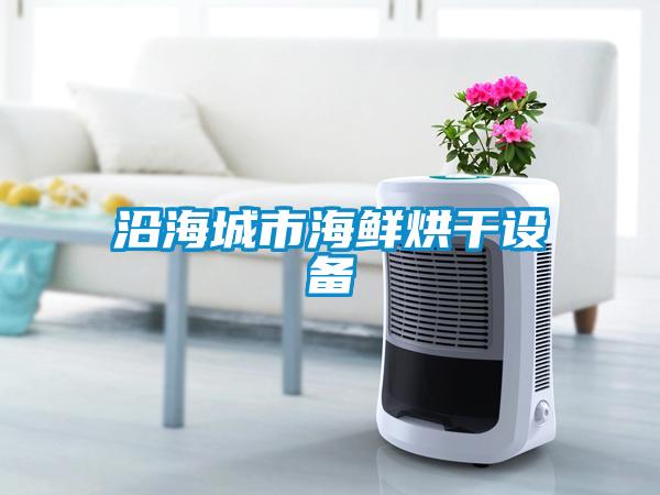 欧美黄色电影在线播放 沿海城市海鲜烘干设备