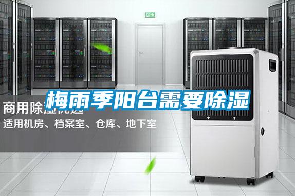 欧美成色手机在线观看 梅雨季阳台需要除湿
