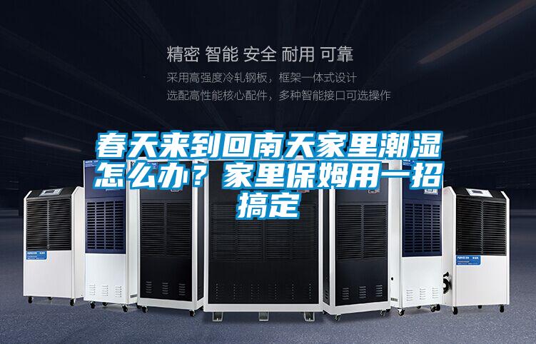 欧美黄色性爱视频网站 春天来到回南天家里潮湿怎么办？家里保姆用一招搞定