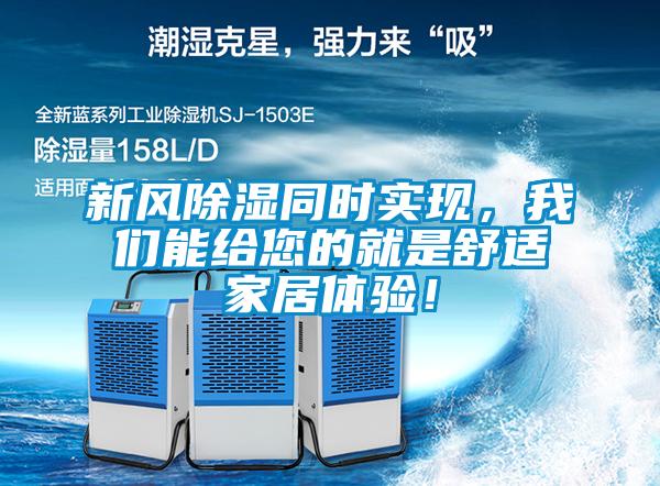 欧美黄色性爱视频网站 新风除湿同时实现，我们能给您的就是舒适家居体验！