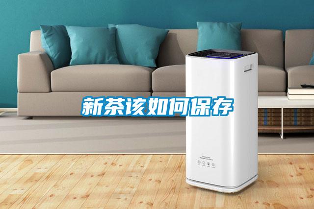 欧美黄色电影在线播放 新茶该如何保存