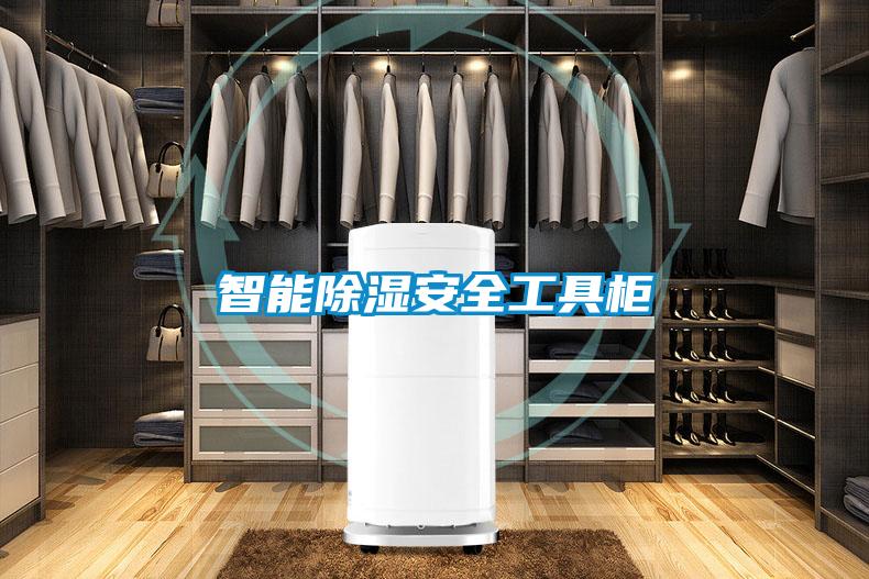 欧美成色手机在线观看 智能除湿安全工具柜