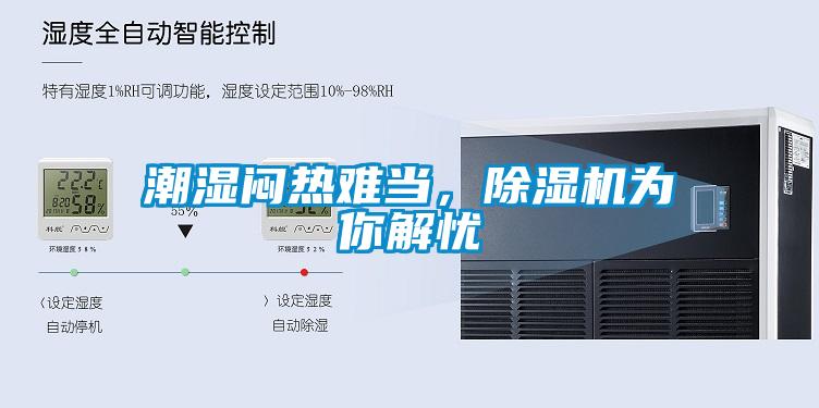 欧美黄色性爱视频网站 潮湿闷热难当，除湿机为你解忧