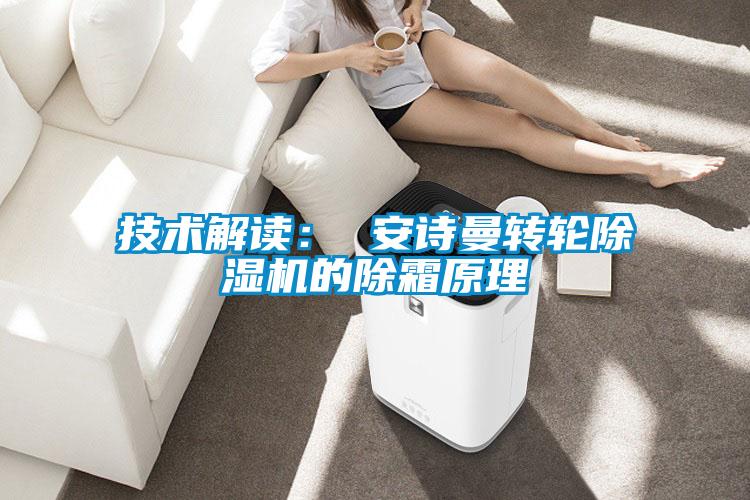 欧美黄色电影在线播放 技术解读： 安诗曼转轮除湿机的除霜原理