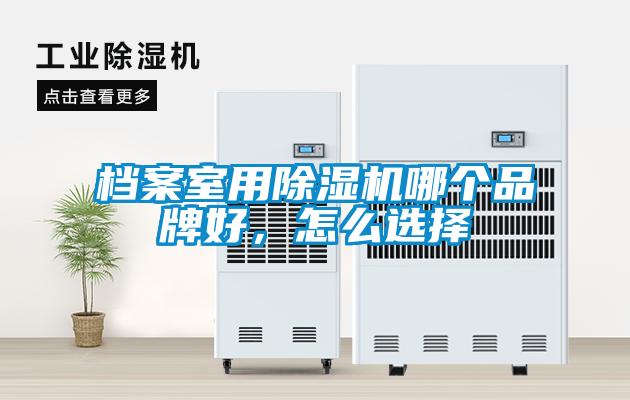 欧美黄色性爱视频网站 档案室用除湿机哪个品牌好，怎么选择