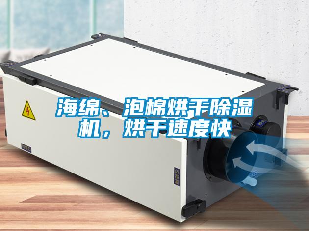 欧美黄色电影在线播放 海绵、泡棉烘干除湿机，烘干速度快