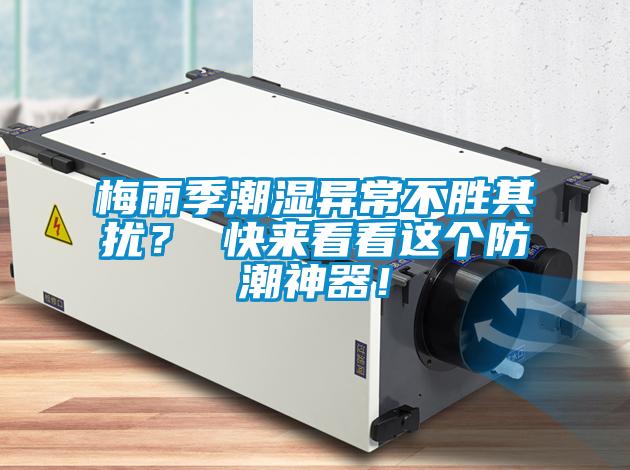 欧美黄色性爱视频网站 梅雨季潮湿异常不胜其扰？ 快来看看这个防潮神器！